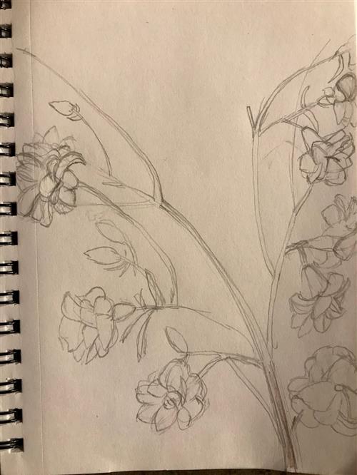 flower flower