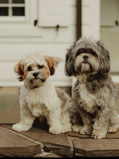 Sophie and Lilly