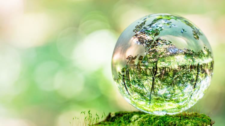 Ecology