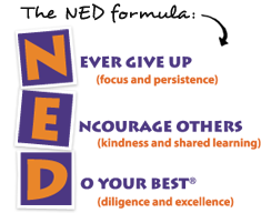 Image result for ned assembly